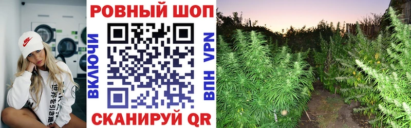 Где найти наркотики Сосновый Бор ГАШИШ  Метамфетамин  Меф мяу мяу  МАРИХУАНА  Амфетамин 
